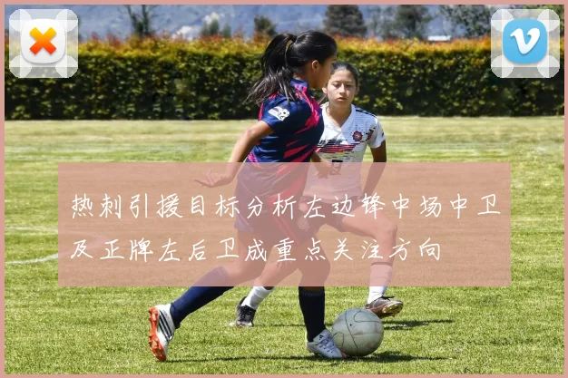 热刺引援目标分析左边锋中场中卫及正牌左后卫成重点关注方向